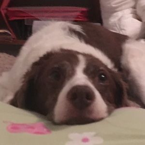 Meet your Posher, Jess